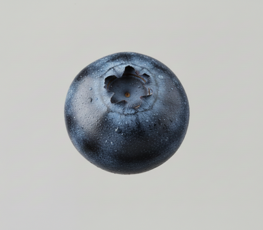 Bilberry Extract